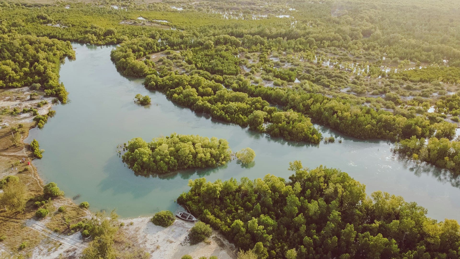 A winding river through the mangroves of Abu Dhabi seen from above